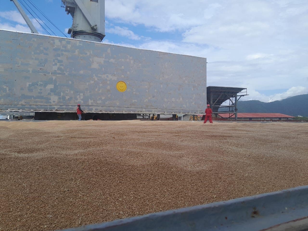 Operarios de UNICA en la descarga de granel de grano en el puerto